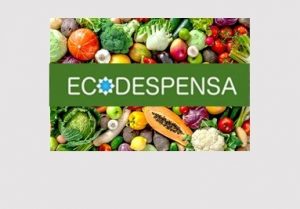 Servicio easyBOX Fruta y Verdura Ecológica